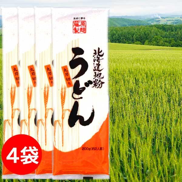 1500円ポッキリ 1500えん以下 送料無 食品 うどん 乾麺 200g×4袋 北海道地粉 袋麺 ...