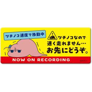 予約 ぼっち・ざ・ろっく！高発光ステッカーツチノコぼっち ※５月下旬発売予定