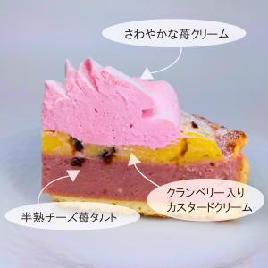 ケーキ いちご 誕生日 プレゼント ギフト ス...の詳細画像1
