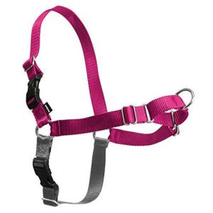PetSafe イージーウォークハーネス (SM, ラズベリー＆グレー)