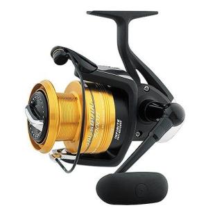 DAIWA（釣り） ダイワ 18 カルディア LT2500 / CALDIA スピニング