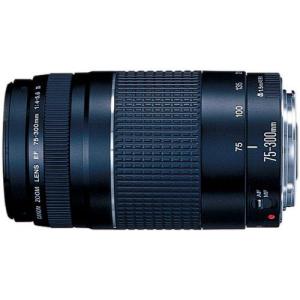 Canon EFレンズ EF75-300mm F4-5.6 IIIズームレンズ 望遠