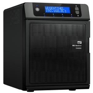 WESTERNDIGITAL Sentinel...の詳細画像1