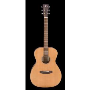 Breedlove Studio BJ350 アコースティック ベース Breedlove Studio BJ350-SME4 Acoustic bass demo - YouTube