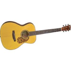 Blue Ridge アコースティックギター 61ZqDa-X9DL._UF350,350_QL50_.jpg