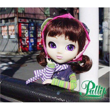 Jun Planning Chicca Pullip Full Sized Doll 2005 ドー...