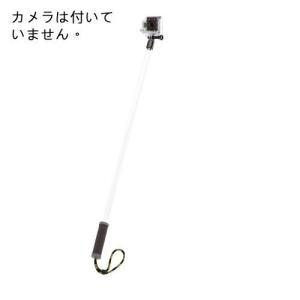 GoPole EVO ゴーポールヒーローカメラ用透過ポール アーム 65cm｜value-select