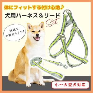 犬 ハーネス リード セット 小型犬 中型犬 脱げない 反射 おしゃれ