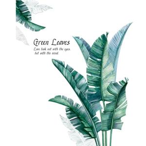 バナナの木 観葉植物の商品一覧 通販 Yahoo ショッピング