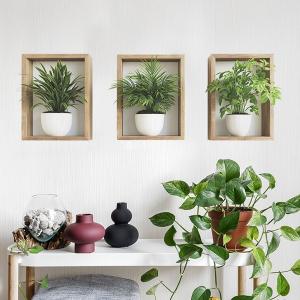 ウォールステッカー おしゃれ フレーム 南国 花 木 植物 窓 枠 はがせる 北欧 フォト モダン 洗面所 トイレ 観葉植物 花壇 鉢植え 階段 ニッチ風 壁 葉 植木鉢