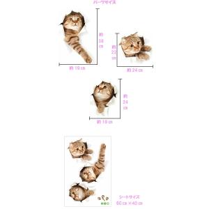 ウォールステッカー 猫 ねこ 黒猫 三毛猫 ネ...の詳細画像3