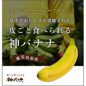 神バナナ 皮ごと食べられる国産無農薬バナナ Sサイズ