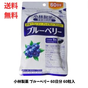 小林製薬 - 小林製薬　ルテイン　60日分 6袋 小林製薬 ルテイン 60日分(60粒入り)×6袋