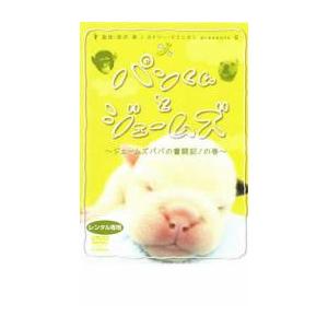 パンくんとジェームズ ジェームズパパの奮闘記!の巻 レンタル落ち 中古 DVD テレビドラマ