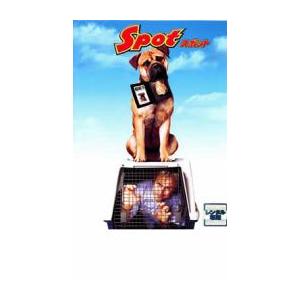 スポット レンタル落ち 中古 DVD