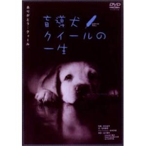 盲導犬 クイールの一生 グーッド グーッド レンタル落ち 中古 DVD