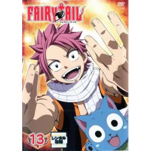 FAIRY TAIL フェアリーテイル 13 レ...の商品画像