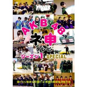 AKB48 ネ申 テレビ シーズン1 SPECIAL レンタル落ち 中古 DVD