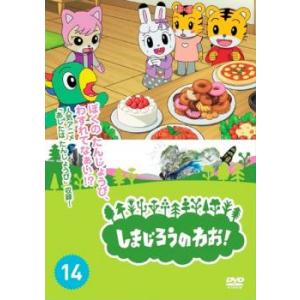 しまじろうのわお!14 レンタル落ち 中古 DVDの商品画像