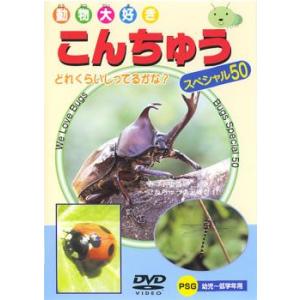 こんちゅう スペシャル50 中古 DVD