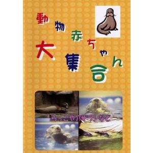 ☆【中古】 スーパーサラリーマン 左江内氏 (5巻セット) [レンタル落ち