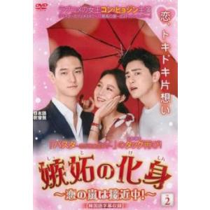 嫉妬の化身 恋の嵐は接近中! 2(第3話、第4話)【字幕】 レンタル落ち 中古 DVD 韓国ドラマ