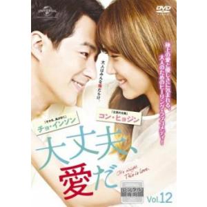 大丈夫、愛だ 12(第23話 最終)【字幕】 レンタル落ち 中古 DVD 韓国ドラマ