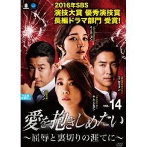 愛を抱きしめたい 屈辱と裏切りの涯てに 14(第40話〜第42話)【字幕】 レンタル落ち 中古 DVD 韓国ドラマ