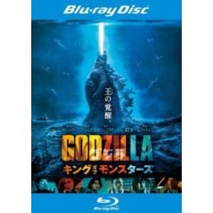 シャンタル・アケルマン Blu-ray BOX I [Blu-ray] : ぐるぐる王国2号館
