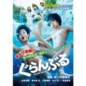 ホジュン 宮廷医官への道 29 レンタル落ち 中古 DVD 韓国ドラマ チョン