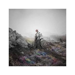 花 レンタル落ち 中古 CD