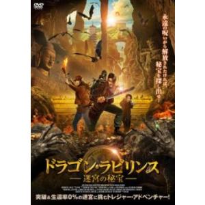 ドラゴン・ラビリンス 迷宮の秘宝 レンタル落ち 中古 DVD 韓国ドラマ ホラー
