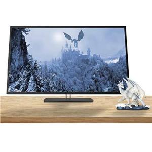 HP Z43 42.5 Inch 4K UHD 3840 x 2160 LED Backlit Gaming Monitor with IPS, Vesa Compatible, Anti-Glare, Tilt and Swivel, Black Pearl (USB-C, HDMI and Di｜valueselection2