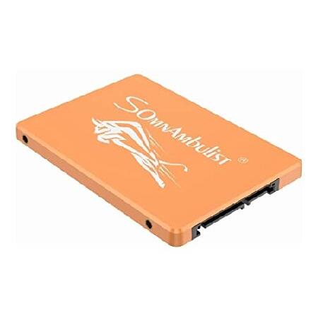 Somnambulist SSD 480gb 2tb 240gb 120gb ソリッドステートドライ...