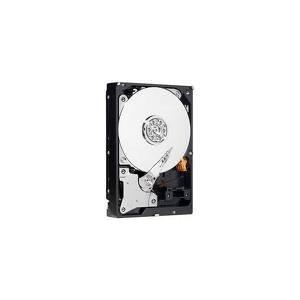 Western Digital 内部部品 WD3000HLFS-5YR