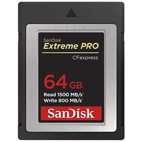 SanDisk SDカード SDCFE-064G-GN4NN シルバー