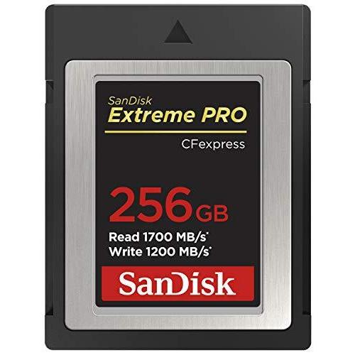 SanDisk SDカード SDCFE-256G-GN4NN シルバー