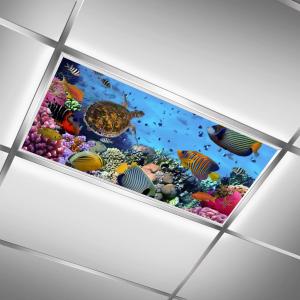 The Underwater World 2ft x 4ft Drop Ceiling Fluorescent Decorative Light Cover - Colorful Fishes Coral Reef Sea Turtle - Skylight Film Filter Eliminat