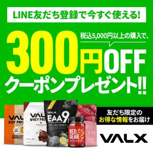 【公式】VALX EAA9 山本義徳 EAA ...の詳細画像1