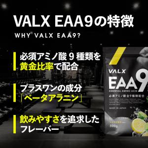 【公式】VALX EAA9 山本義徳 EAA ...の詳細画像3