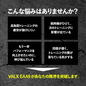 【公式】VALX EAA9 山本義徳 EAA ...の詳細画像5