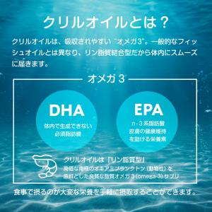 VALX バルクス クリルオイル DHA EP...の詳細画像3