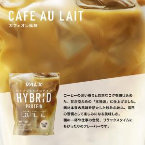 VALX ハイブリッドプロテイン 420g 選...の詳細画像2