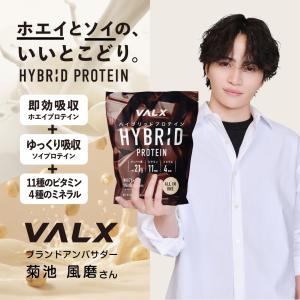 VALX ハイブリッドプロテイン 420g 選...の詳細画像3