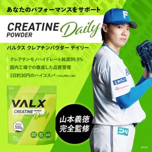 VALX クレアチンパウダーデイリー 500g...の詳細画像1