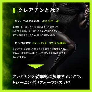 VALX クレアチンパウダーデイリー 500g...の詳細画像2