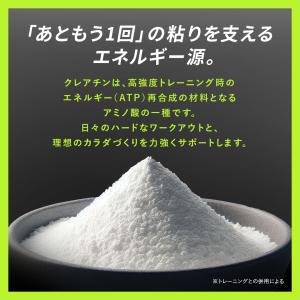 VALX クレアチンパウダーデイリー 500g...の詳細画像3