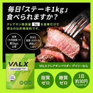 VALX クレアチンパウダーデイリー 500g...の詳細画像4