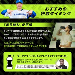 VALX クレアチンパウダーデイリー 500g...の詳細画像5