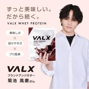 VALX バルクス ホエイプロテイン WPC ...の詳細画像1